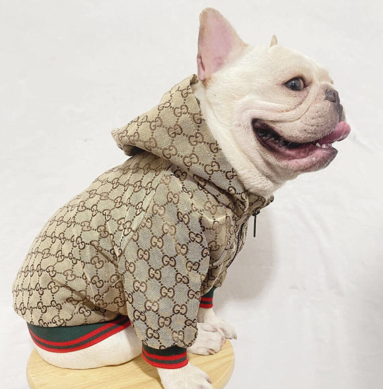 Gucci dog clothes | New gucci jacket ,Luxury designer clothing,w022 ...