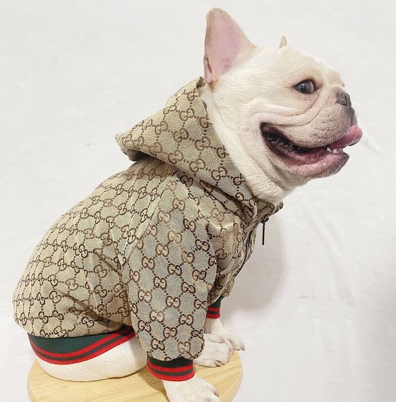 Gucci dog | New gucci jacket ,Luxury clothing,w022# Dogdesignershop