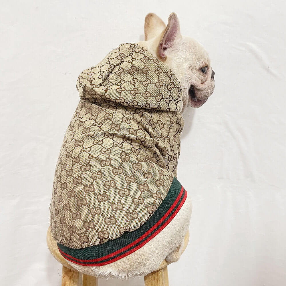 Gucci dog clothes | New gucci jacket ,Luxury designer clothing,w022 ...