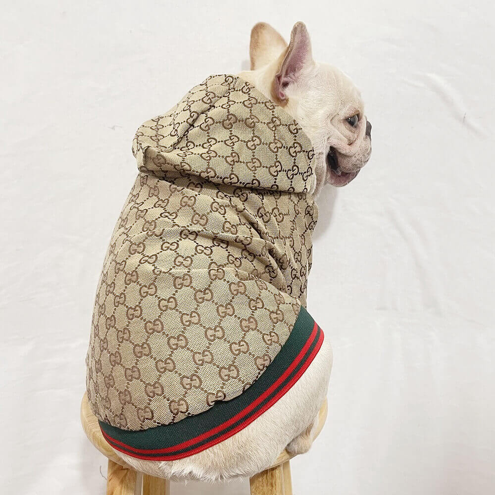 Gucci dog clothes New gucci jacket ,Luxury designer clothing,w022