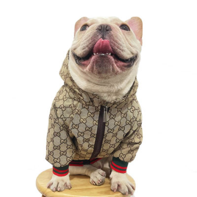 Gucci | Dog Clothes, Harness, Collars, Leashes, Windcoat, Tshirt,online  Store | Dogdesignerclothes