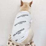 Balenciaga dog vest