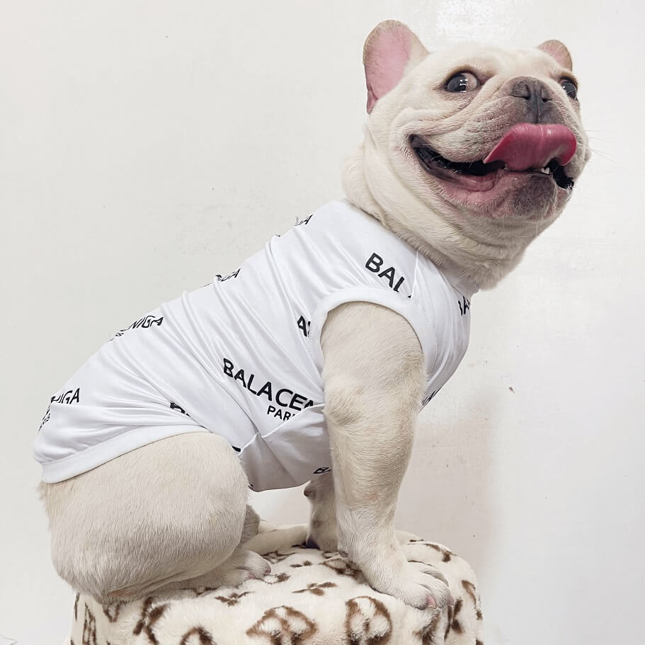 Balenciaga dog vest| Luxury designer dog clothes to large breeds, |Dogdesignershop