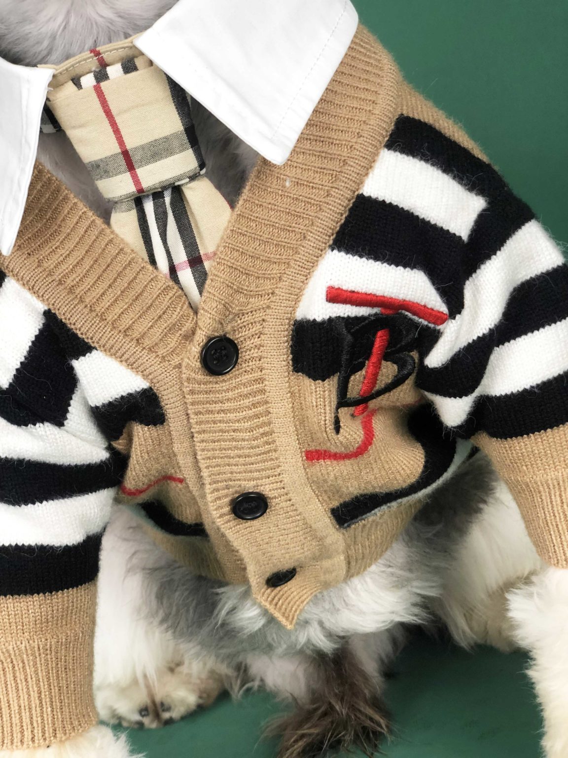 Burberry dog sweater Designer Dog clothes ,Burberry Inspired pet