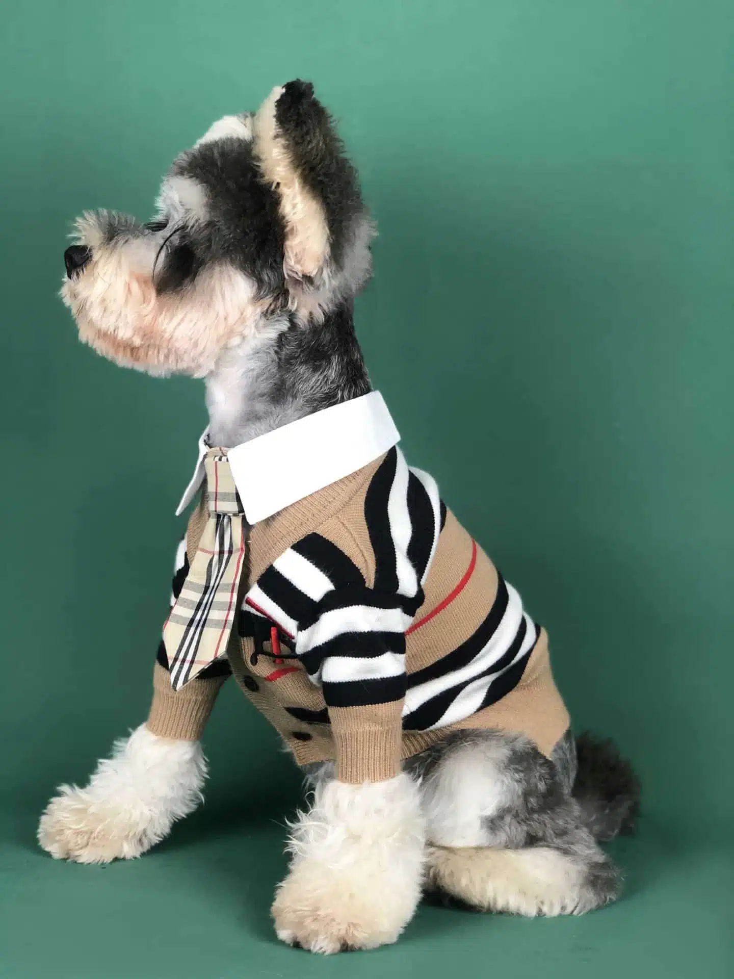 Burberry dog sweater