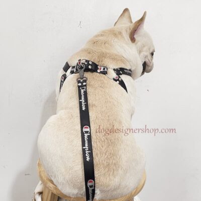 Regnskab Vie Erhverv Champion|dog outfits,windbreaker,collars,harness| dogdesignershop