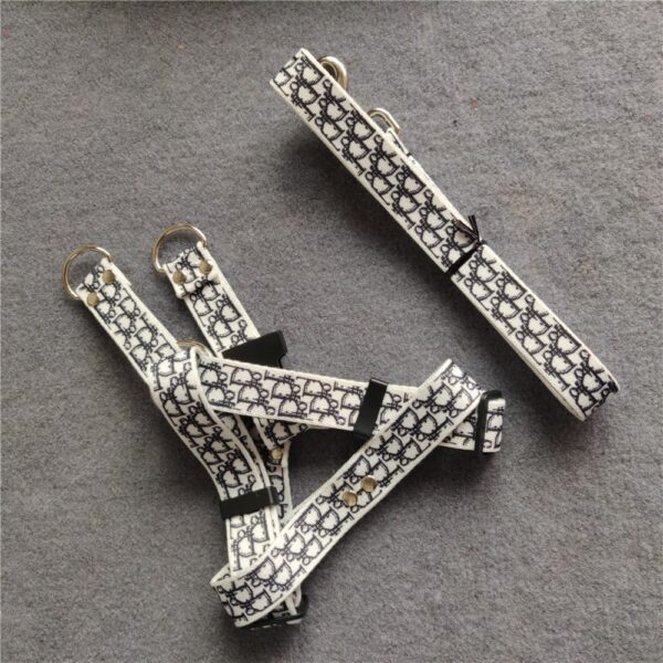Christian Dior dog harness | dog walking harness set New, Free Best