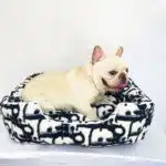 Dior dog beds