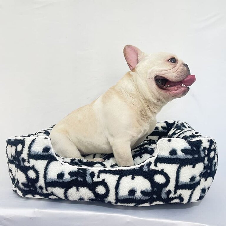 Christian Dior dog coat Waterproof Dior jacket for puppies large dogs