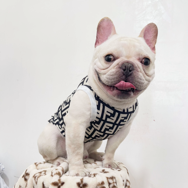 Fendi dog vest| New designer dog clothes Fendi, small to large ,Luxury ...