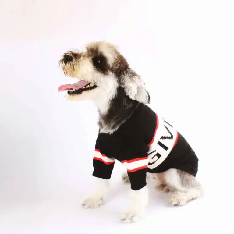 Givenchy Dog Sweater