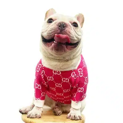 cute dog sweaters