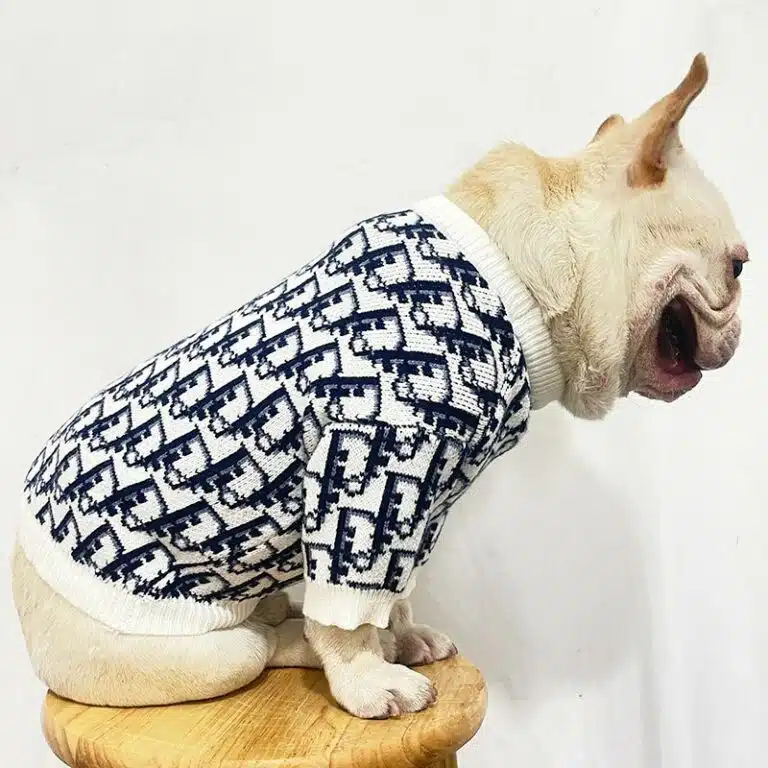 dior dog sweater