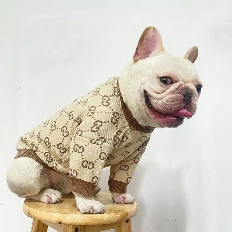 Gucci dog knit sweater | Luxury Designer Hand-Knit Pet Products 2024 new
