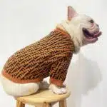 fendi dog clothing