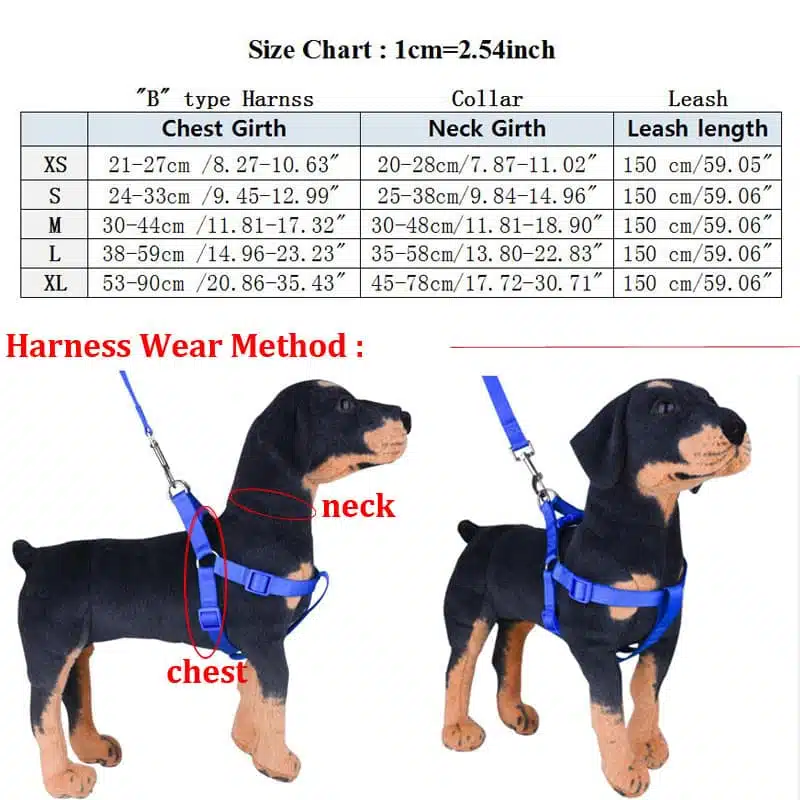 Louis Vuitton Dog collar leash set