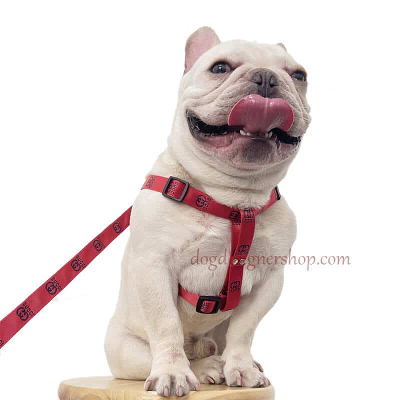 Gucci Web Dog Harness - Brown Pet Accessories, Decor & Accessories -  GUC277217