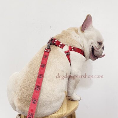 gucci dog harness