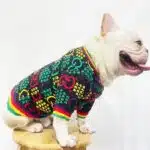gucci dog sweater