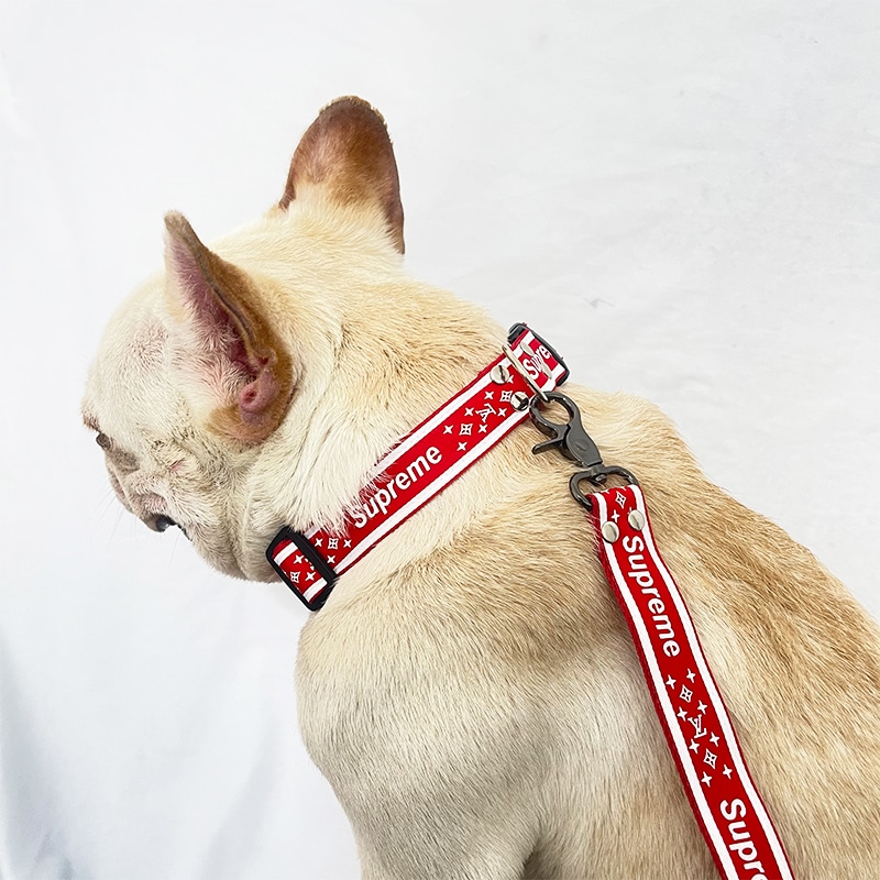 Louis dog collar| Dog for small large dog,collar training dogs, 2021 Best