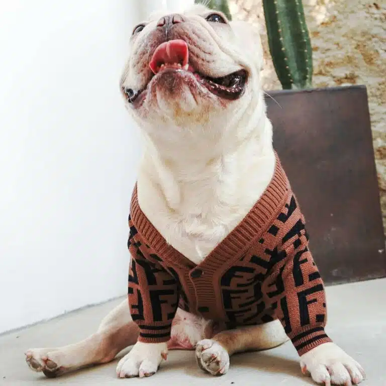 luxury dog sweaters