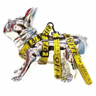 off white dog harness