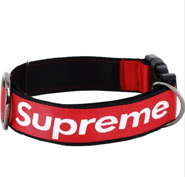 supreme dog collar Dog leader for small large dog, Luxury Designer