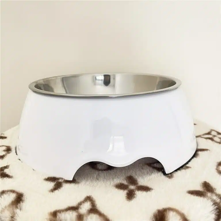 Chanel dog bowl