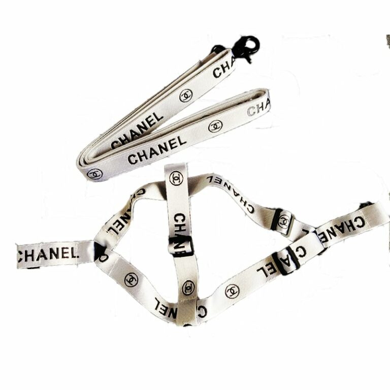 Chanel Dog Harness And Leash |Luxury Chanel Dog Accessories 2021 BEST ...