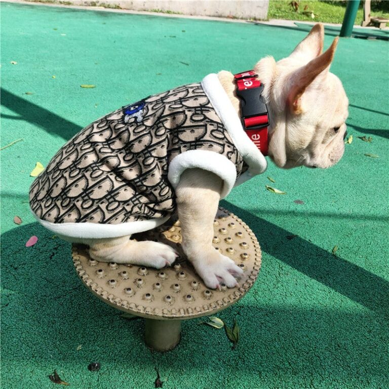 Dior luxury dog sweater, jacket, coat, harness, collars, leashes