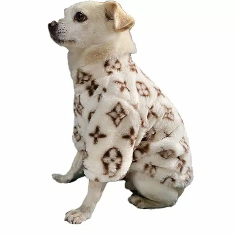 Dog Louis Vuitton clothes