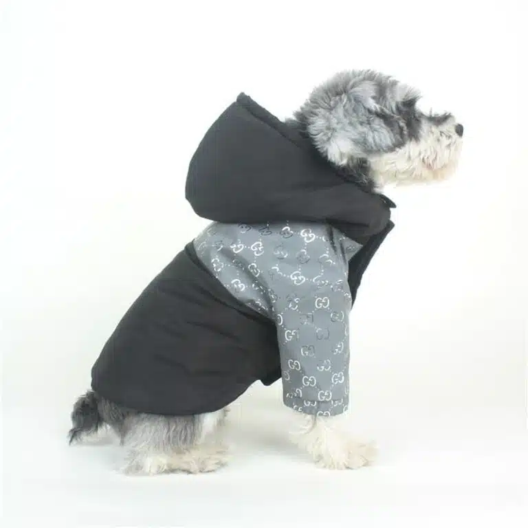 Gucci dog coat