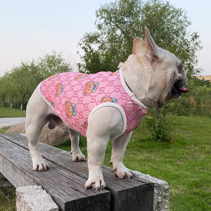 Gucci dog mesh clothes Gucci dog cat summer Tshirt . cheap designer