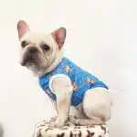 Gucci dog mesh clothes