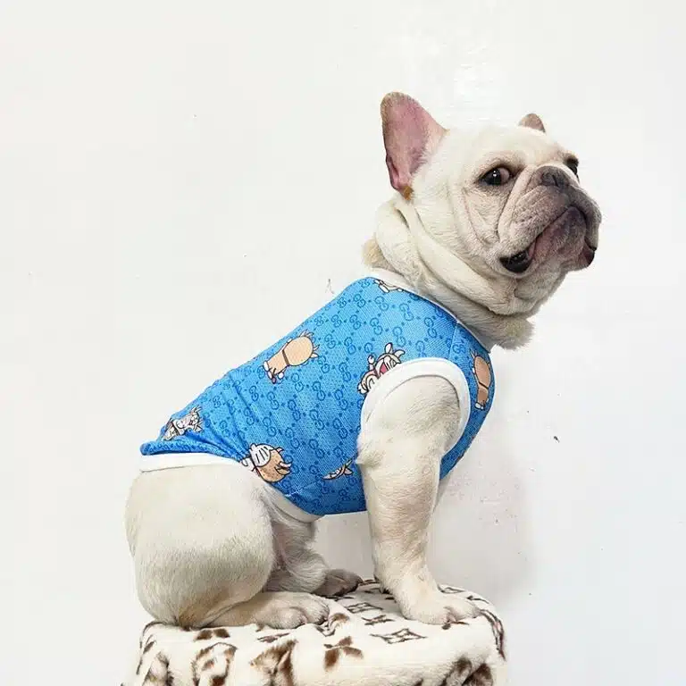 Gucci dog mesh clothes