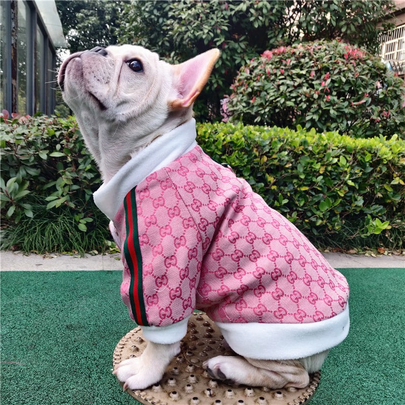 Pink Gucci Dog Winter Coat, Dog Fleece Winter Coats
