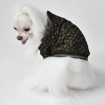 LV dog coat