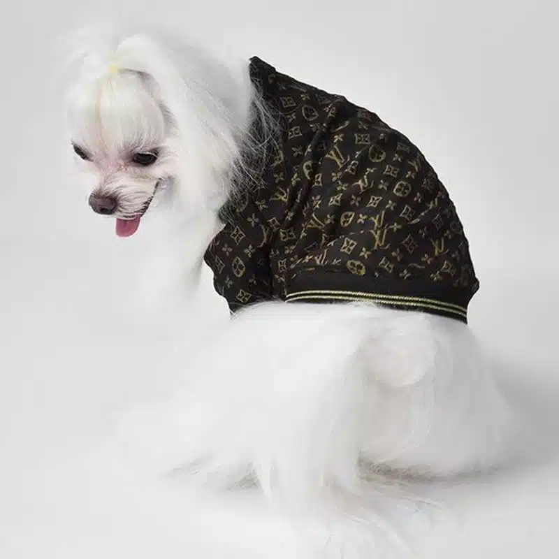 LV dog coat  Louis Vuitton dog appeal , designer puppy jackets