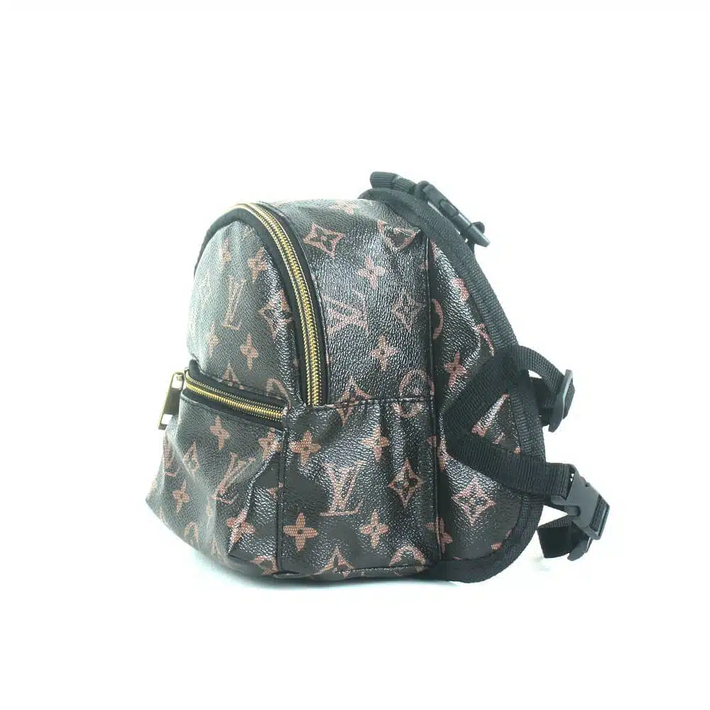 LV backpack for dog 513# - Dog Designer Shop