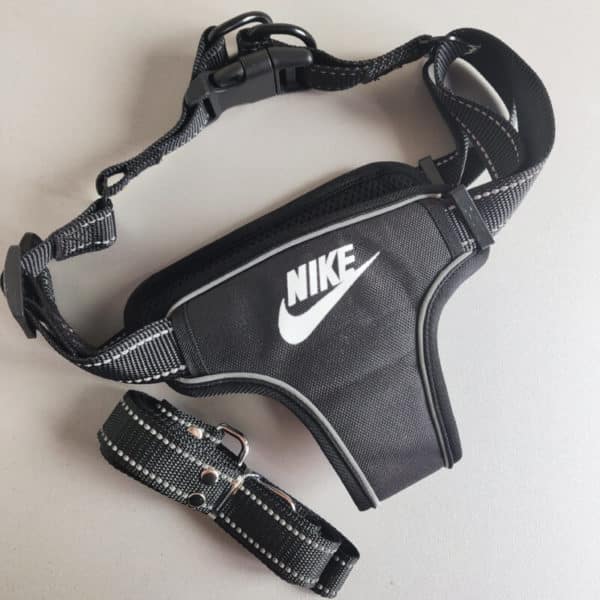 Green NIKE Harness For Dogs | Chanel Dog Harness Leash,small Dog No ...