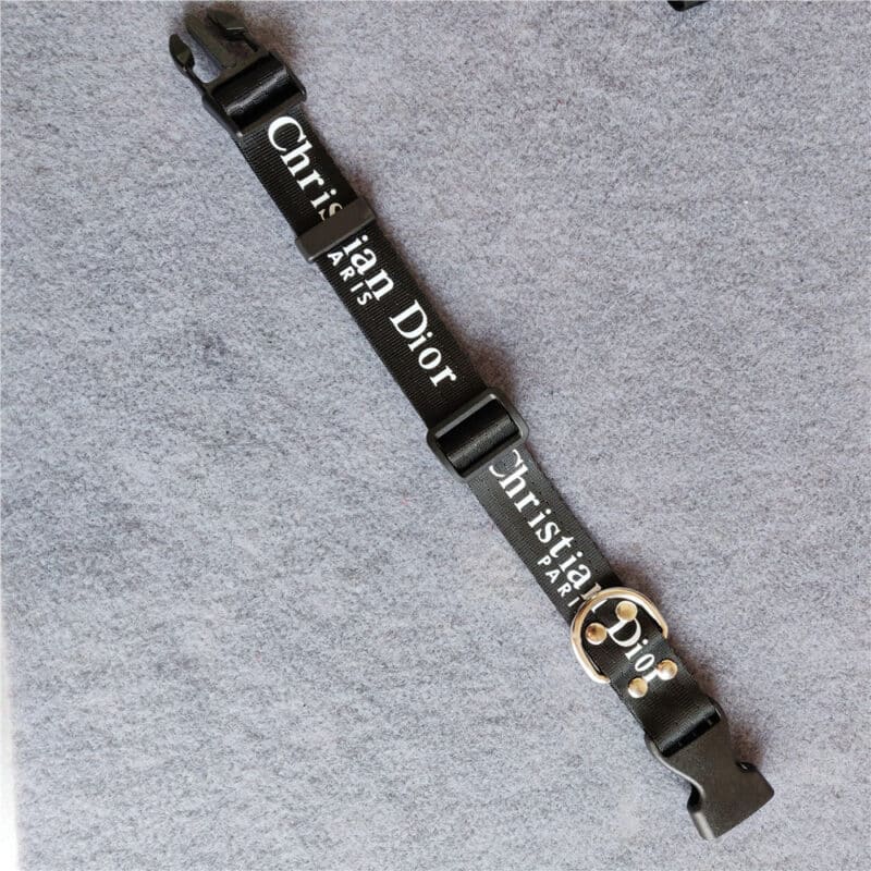 christian dior dog collar 1