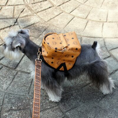 doggie backpacks
