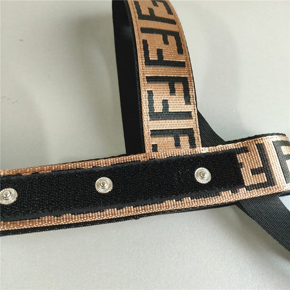 Fendi dog harness leash set 2007# - Dog Designer Shop