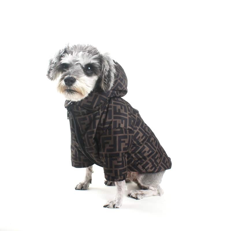 FENDI dog jackets for winter | Winter Dog Gear, Luxury Dog Winter Coats  2021 | Dogdesignershop