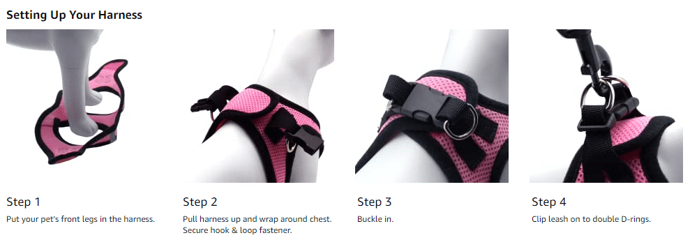 mettre un harnais rose pour chien en 3 étapes