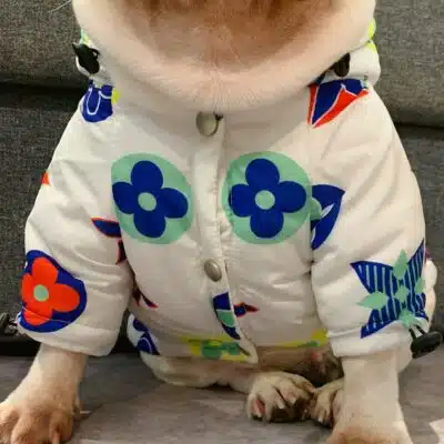 hypebeast dog clothing