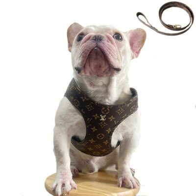 louis vuitton|dog-clothing,collars,harness,leashes,beds,blankets, store |dogdesignershop