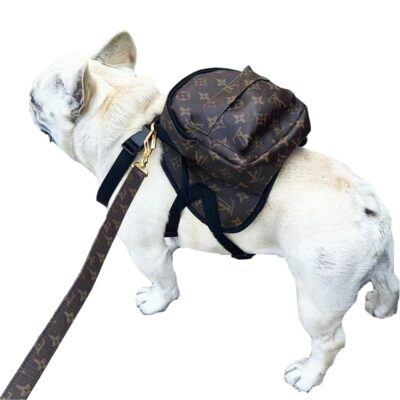 louis Vuitton Dog saddle bags