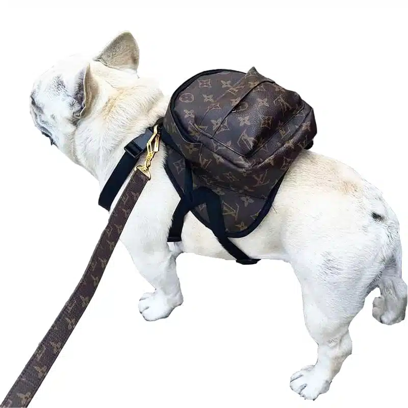 LV Atlantic Dog Backpack – Pomiez.world Shop