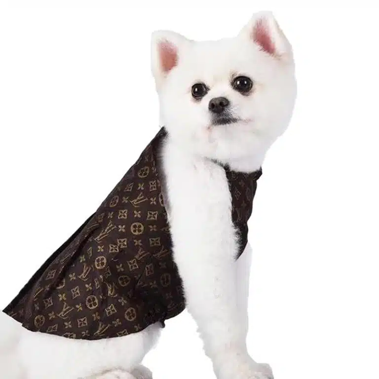 lv dog outfit